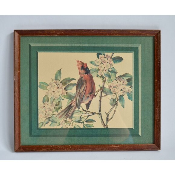 Cecil Golding Cardinal Framed Vintage Print - Picture 1 of 5